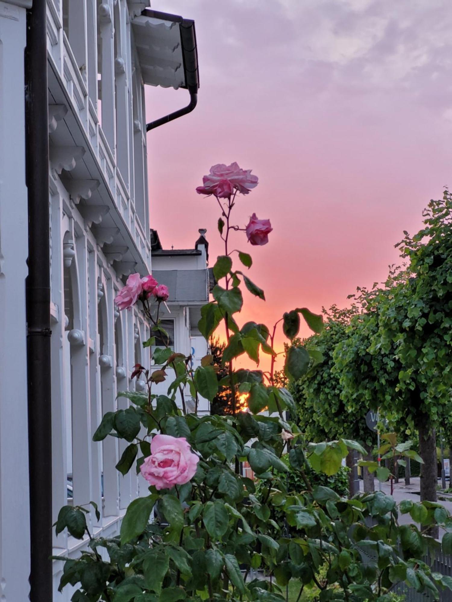 Hotel Villa Meeresgruss Binz Zewnętrze zdjęcie